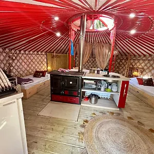 Ravissant Yourte Traditionnelle , Quimper France